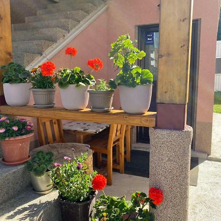 Apartman Kaljevic Lejlighed Žabljak Eksteriør billede