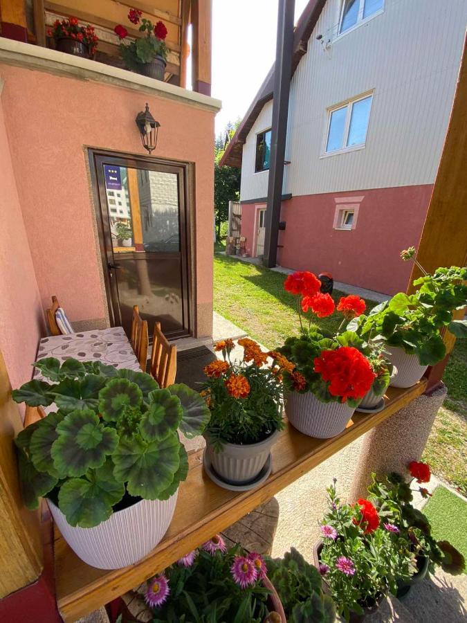 Apartman Kaljevic Lejlighed Žabljak Eksteriør billede